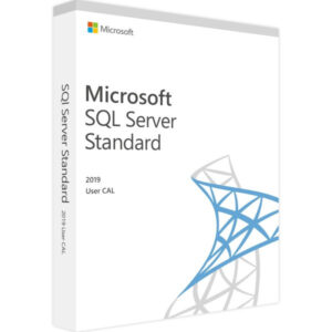 Microsoft SQL Server 2019 User CAL EAN:0889842427561