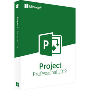 Microsoft Project 2019 Professional  Windows EAN:4260518144900