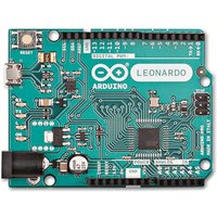 ARDUINO ®