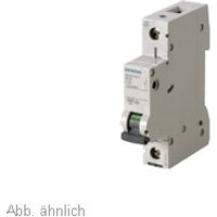 SIEMENS Leitungsschutzschalter 5SL6106-7