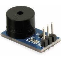 DAYPOWER Summer Modul passiv Voice-Buzzer-P