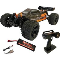 DF MODELS Buggy DirtFighter BY