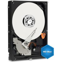 WESTERN DIGITAL SATA III Festplatte WD CAVIAR BLUE WD10EZEX