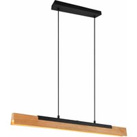 TRIO LED-Pendelleuchte Kerala 341610132 schwarz