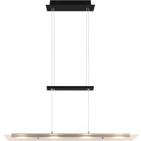 REALITY LED-Pendelleuchte Milos R32004132 schwarz