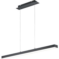 REALITY LED-Pendelleuchte Agano R32801132 schwarz